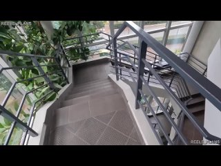 video by arturo mola